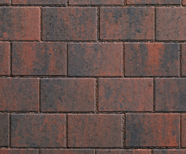 Product Listing 1000X1000 47D C PREMIA 60 Traditional Brindle 2 Traditional Brindle