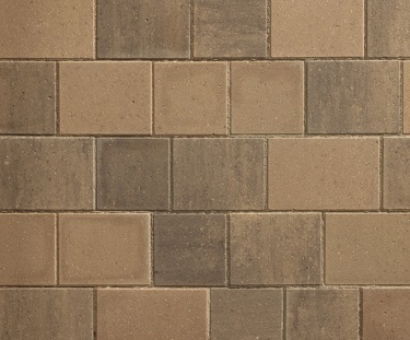 Biscotti Swatch 2 Crop Biscotti