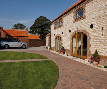 Product Gallery 1000X832 37D D COMO Traditional Brindle 1 Traditional Brindle