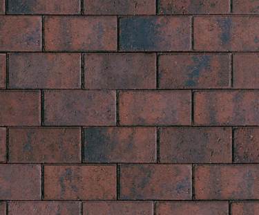 Product Listing 1000X1000 Plasline Tradition Brindle 1 Brindle