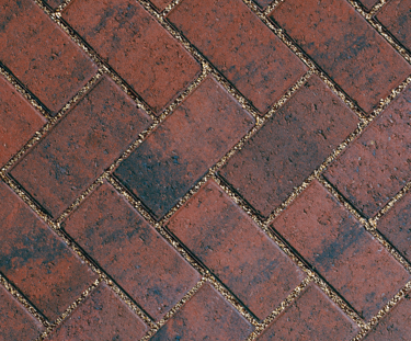 Product Listing 1000X1000 57D A PLASLINE Permi8 Traditional Brindle 2 Traditional Brindle